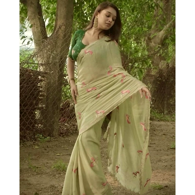 YNF Embroidered Chiffon Saree with Aarco Design Border and Silk Blouse