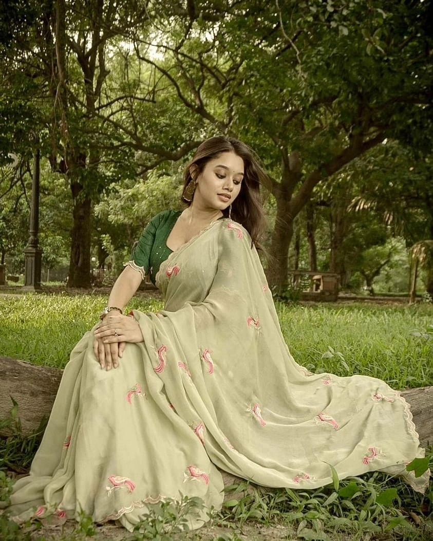 Embroidered Chiffon Saree with Aarco Design Border and Silk Blouse-Green-1