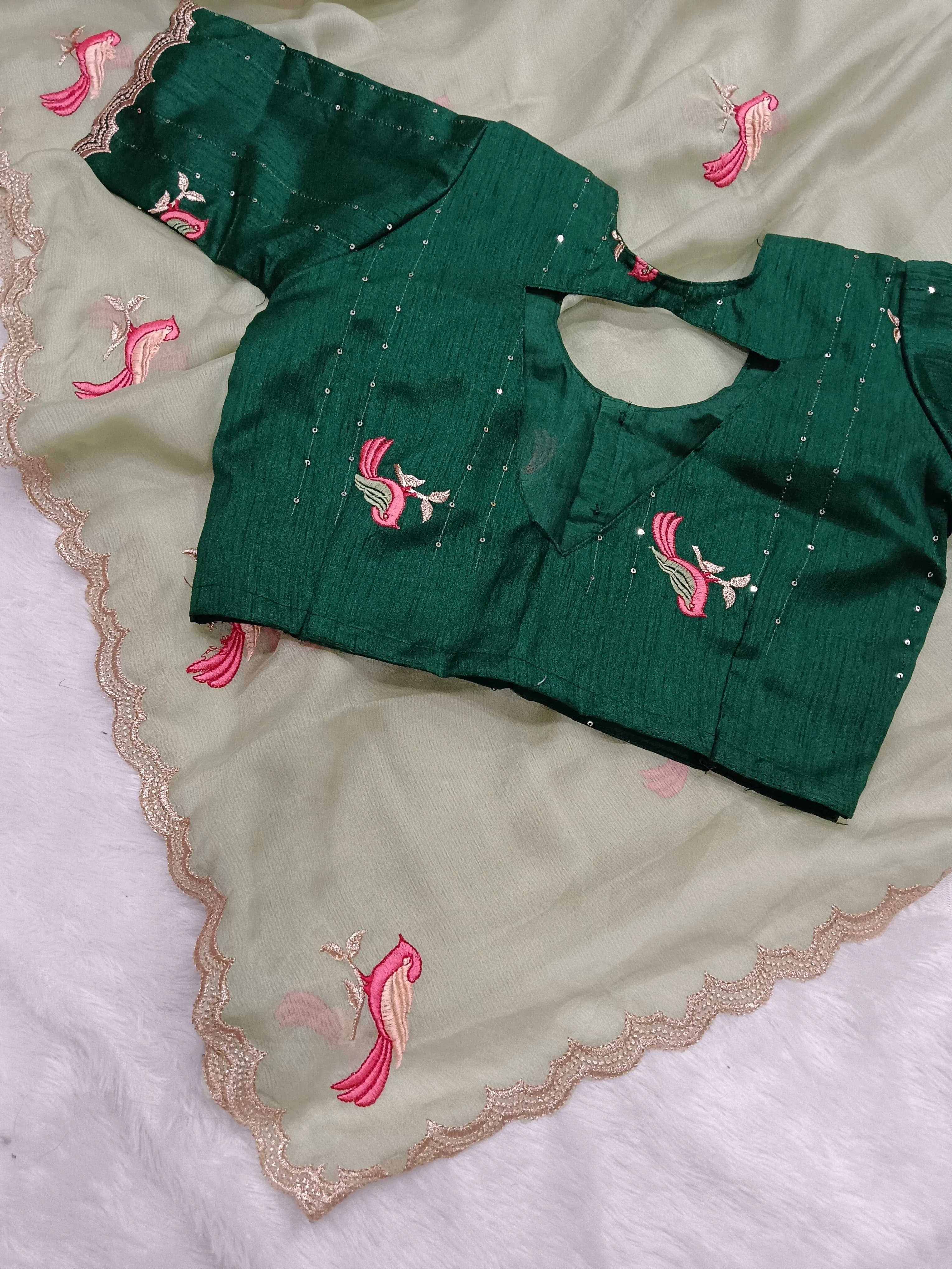 Embroidered Chiffon Saree with Aarco Design Border and Silk Blouse-Green-4