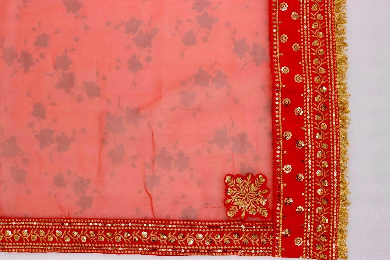 Soft Pure Organza Saree with Digital Print and Sparkling Sequins-Red-5