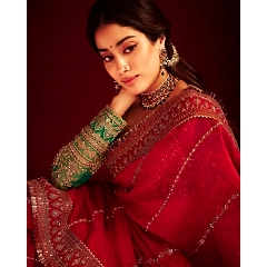 Organza Silk Saree & Blouse Set with Thread & Sequin Work