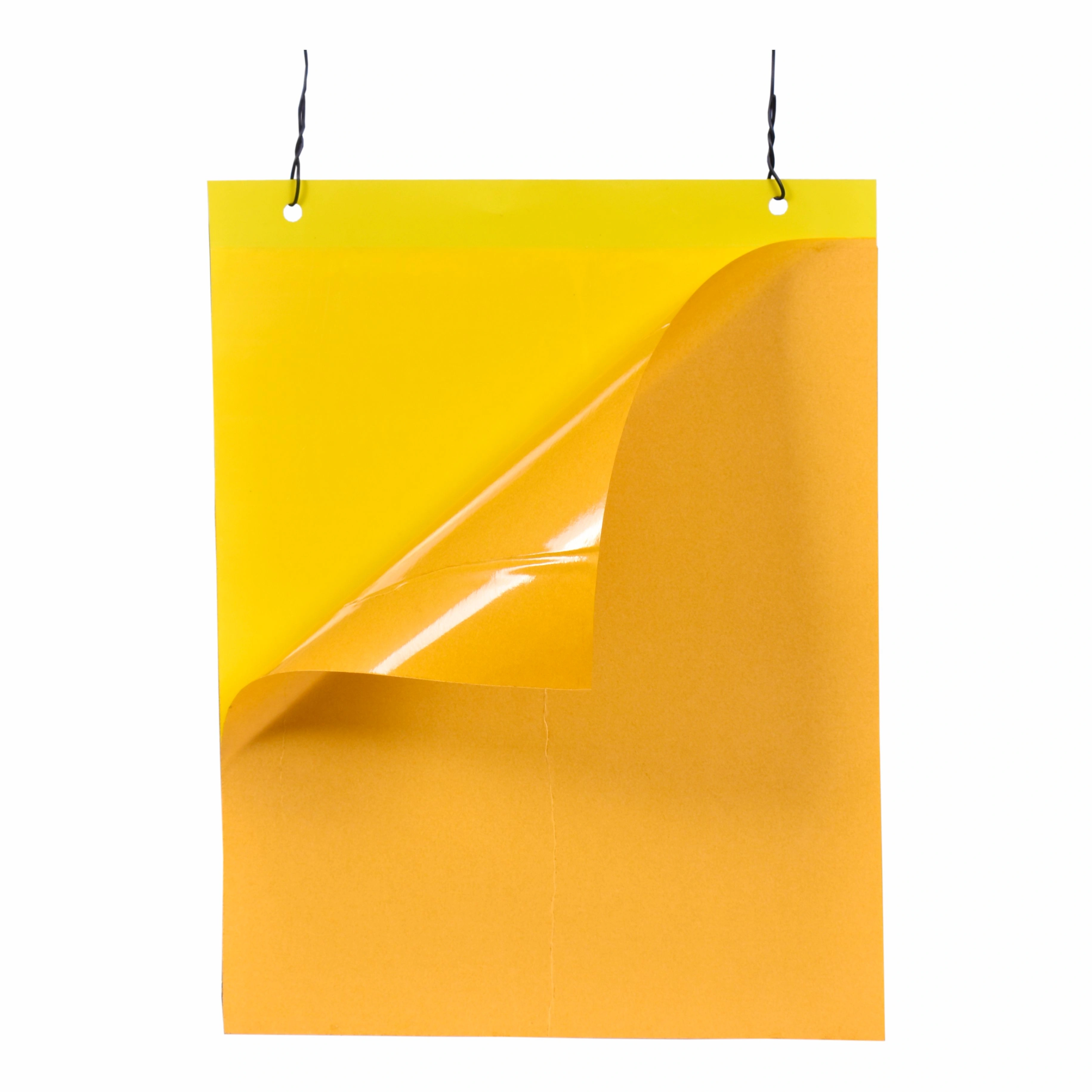 Sticky Trap (22×28 cm) Yellow-Pl1006