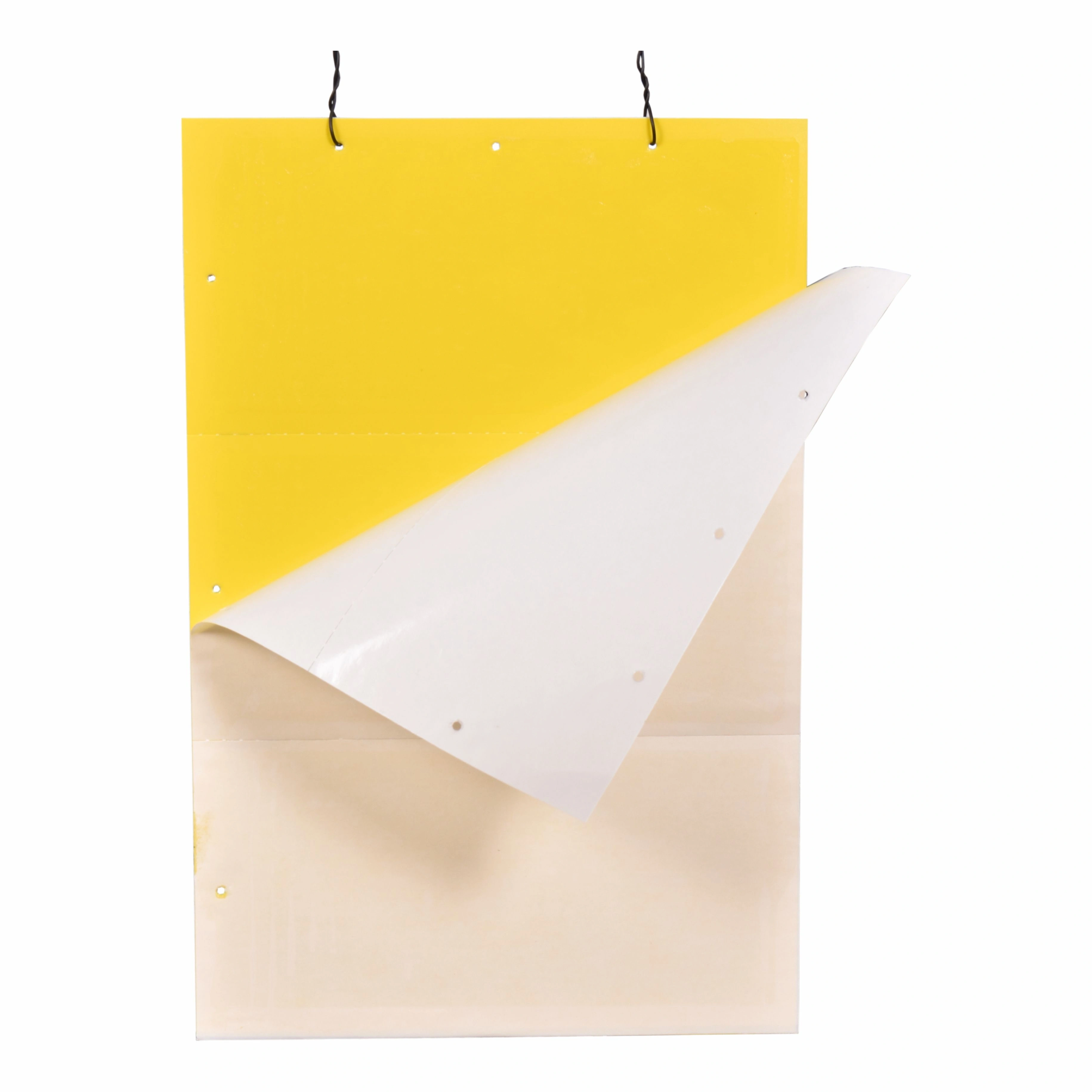 Sticky Trap (22×28 cm) Yellow-1