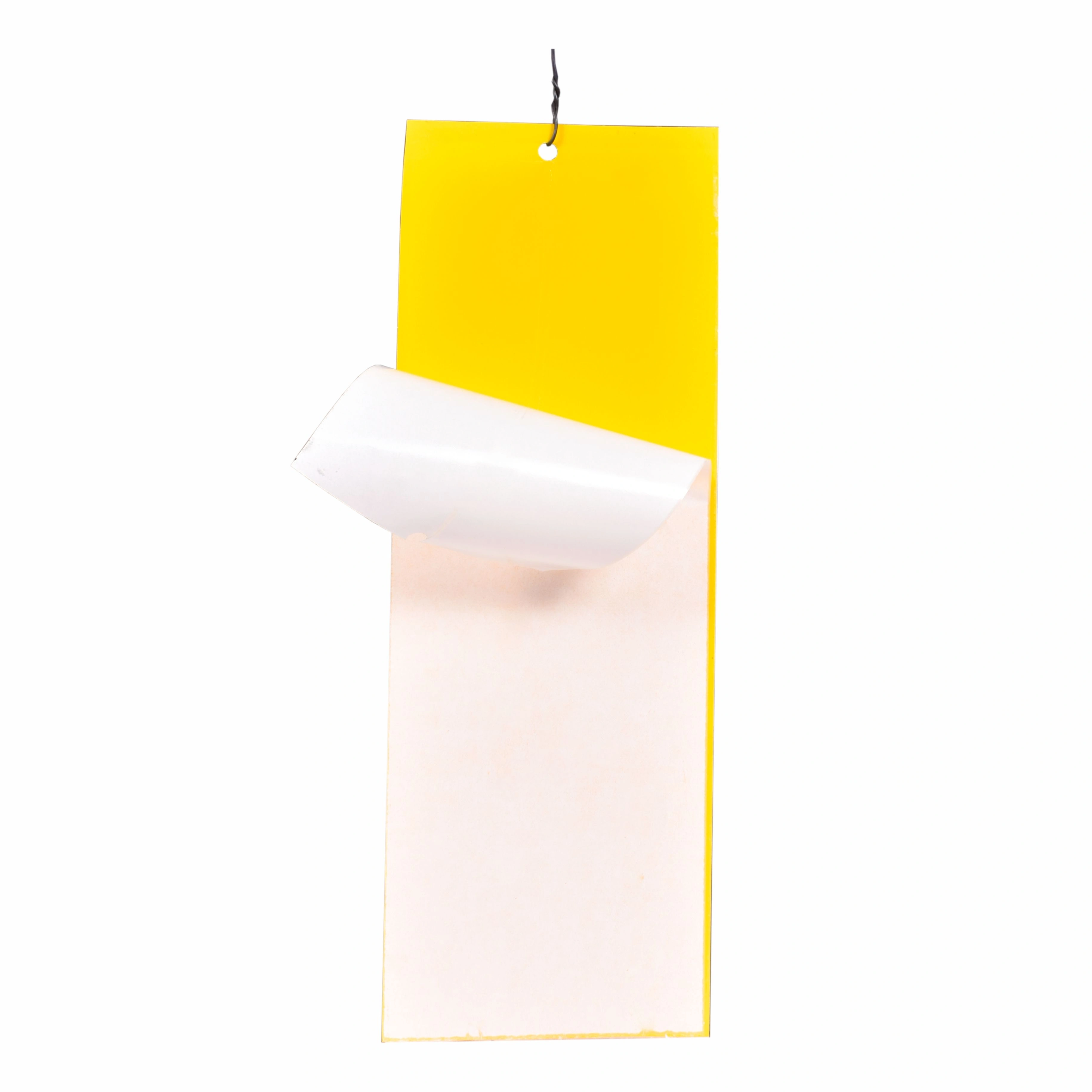 Sticky Trap (25×33 cm) Yellow-2