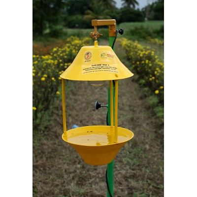 King Catcher ICAR-CISH TRAP 3