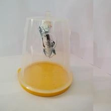 Fruit Fly Trap Container-2