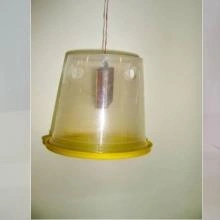 Fruit Fly Trap Container-3