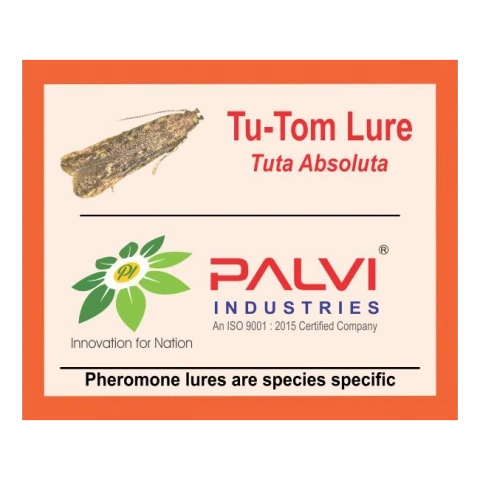 Tuta Absoluta-Pl1024