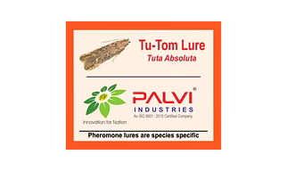 Tuta Absoluta