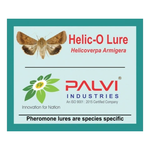 Helicoverpa armigera-Pl1027