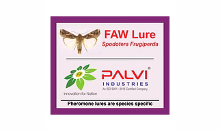Spodoptera Frugiperda