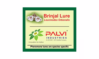 Leucinodes orbonalis
