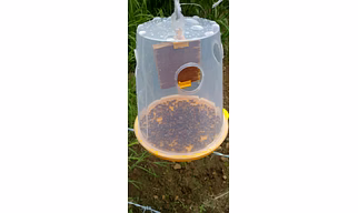 Rain-proof and Long-lasting Fruit Fly Traps (CISH-OMAT & CISH-VMAT)