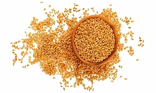 Wheat