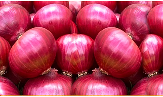 Onions