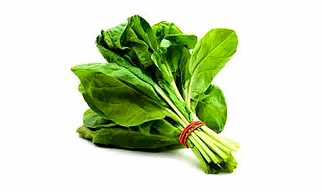 Spinach