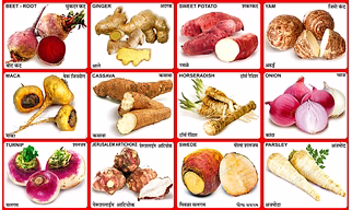 Root Vegetables