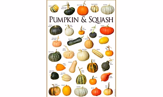 Squash and Gourds