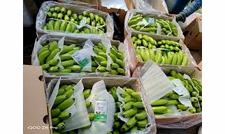 Bananas