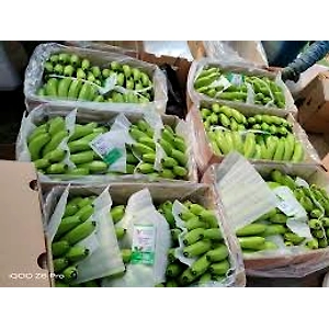 Bananas