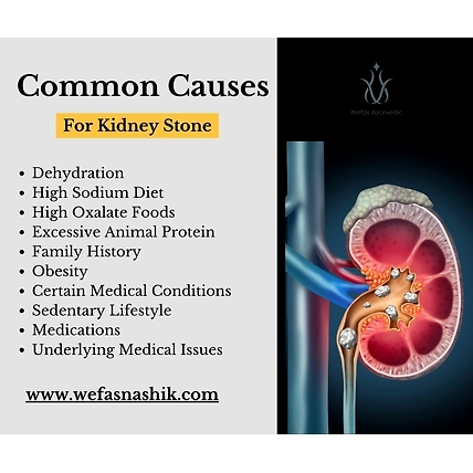 Ki-Stone Clear Powder (Kidney Stone Remover)-2