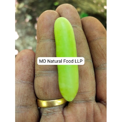 MD1 Indian Grapes-2