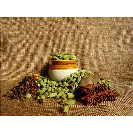 MD indian spices-1