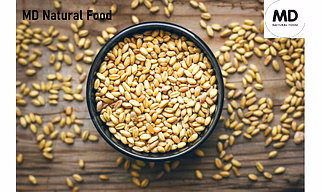 MD Wheat