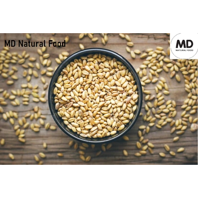 MD Wheat