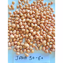 archish peanuts