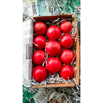 pomegranate-5