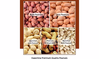 Peanuts