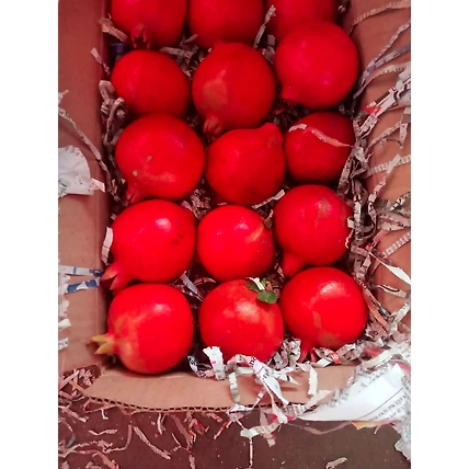 pomegranate-1