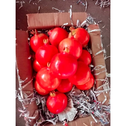 pomegranate-2