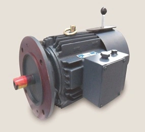 AC &amp; DC MOTORS-12438396