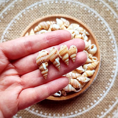 natural sea shells for jewelry making ocean shells, seashells, natural charms