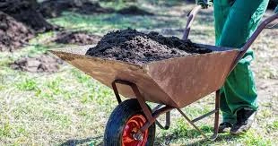 Wheelbarrow-12464022