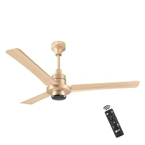 Ceiling and BLDC Fan - Orient-12464872