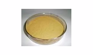 Calcium LignoSulphate