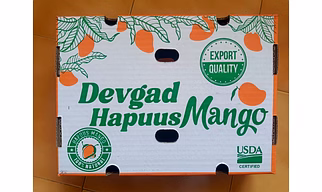 Hapuus Mango