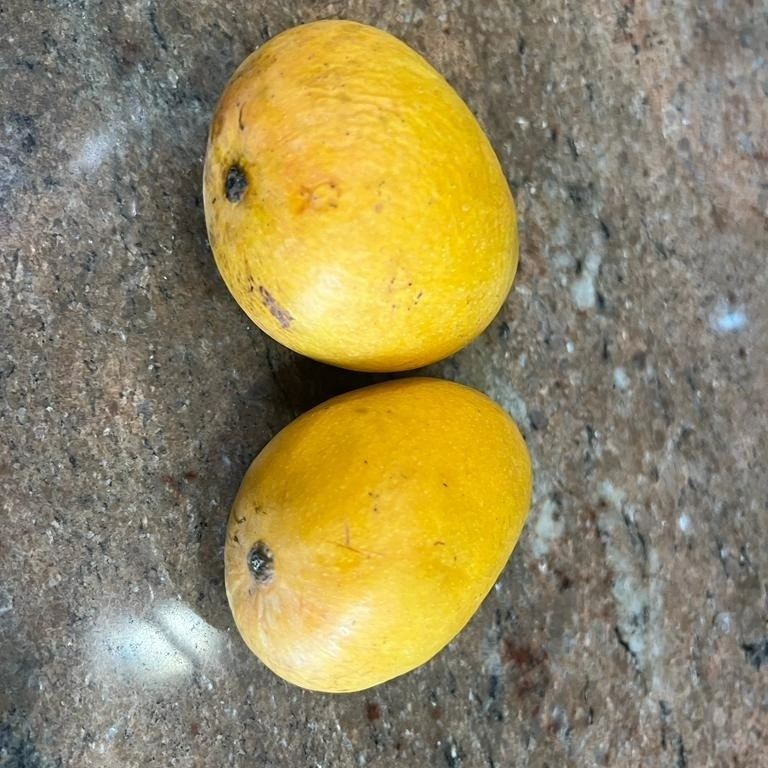 Hapuus Mango-3