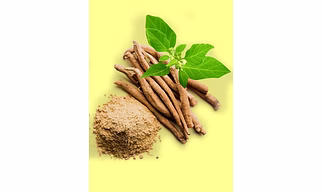 Ashwagandha Extract Powder