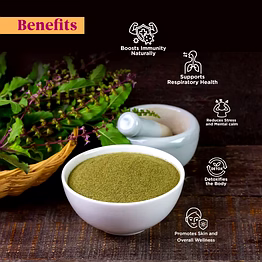 tulsi extract powder