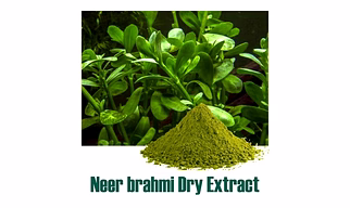 Brahmi Extract powder