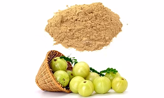 Amla Extract Powder