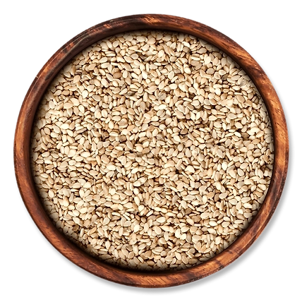 Sesame Seed-12581636
