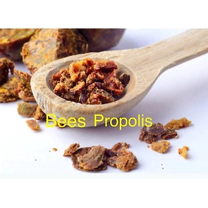 Bee propolis