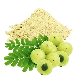 Amla Powder