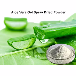 Aloe Vera gel powder