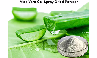 Aloe Vera gel powder